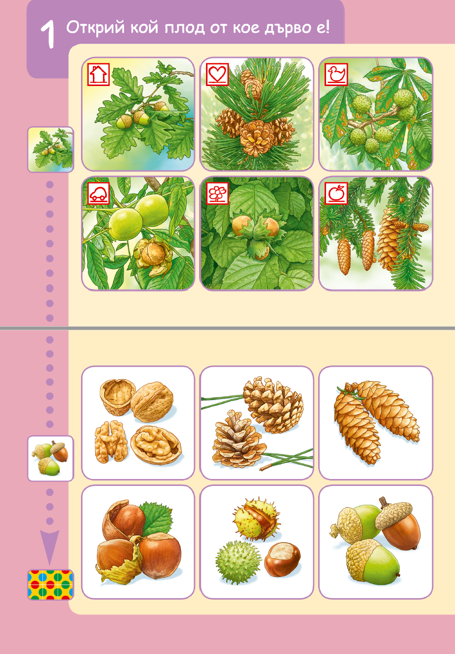 СТАРТОВ ПАКЕТ бамбиноЛЮК В гората (контролно устройство + 2 книжки)