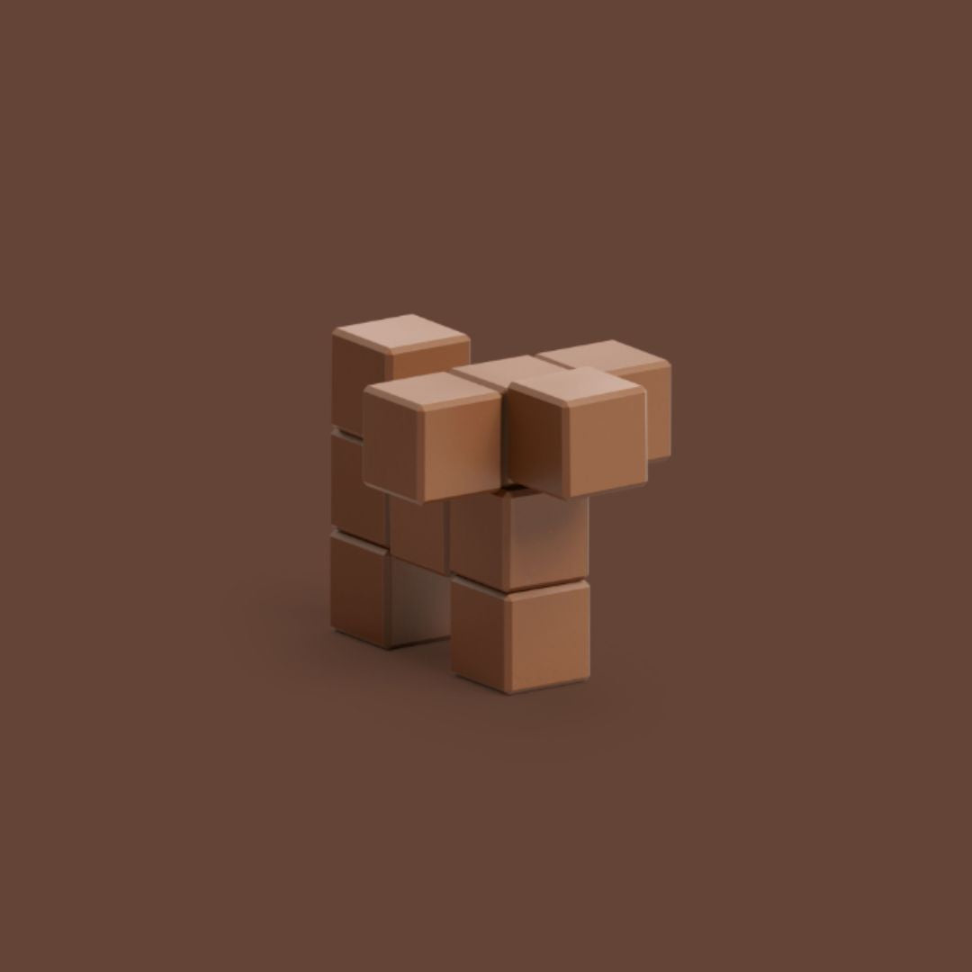 Магнитен конструктор Brown Dog, 10 блокчета