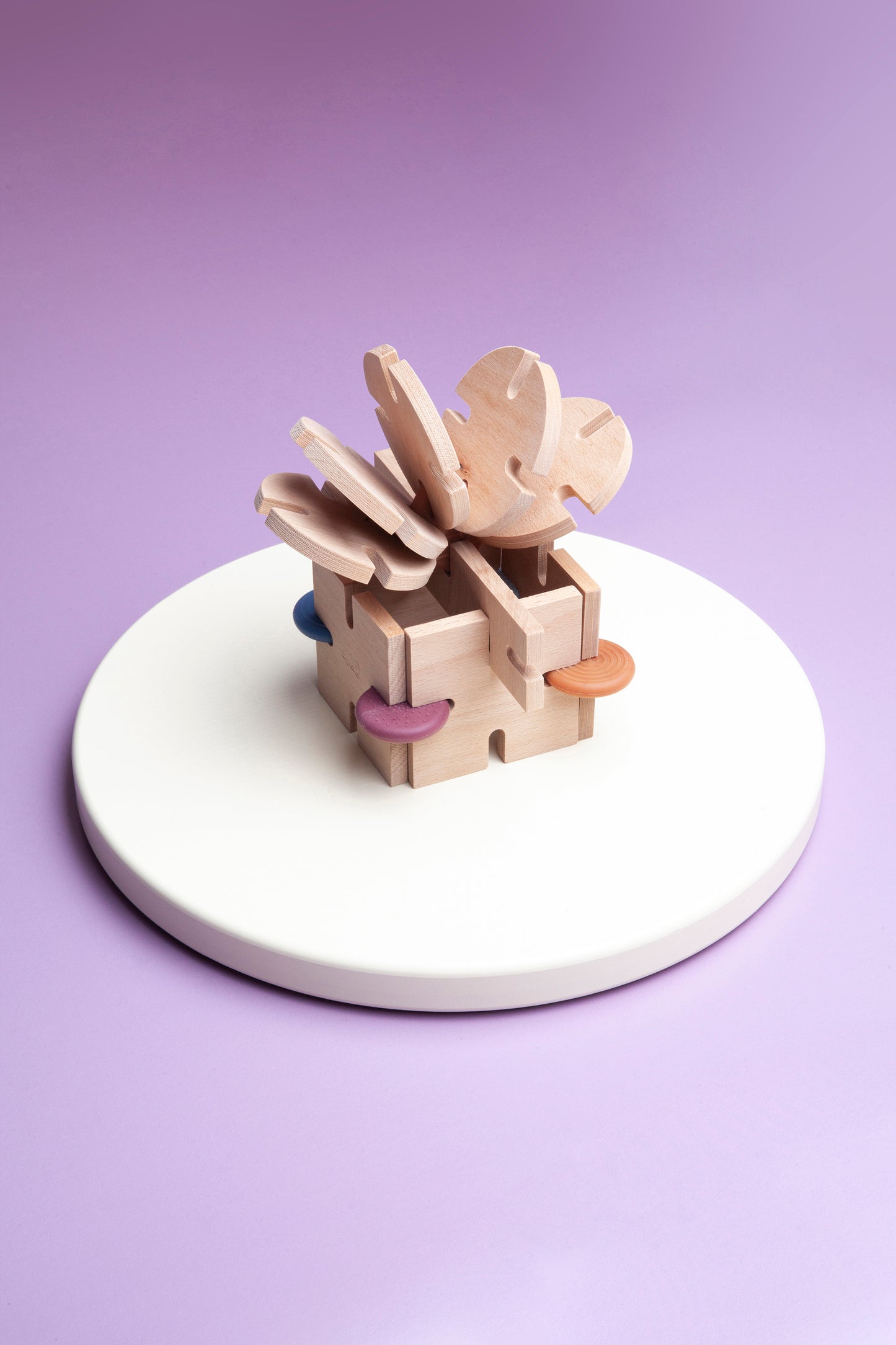 Дървен Сензорен Конструктор Starter Set