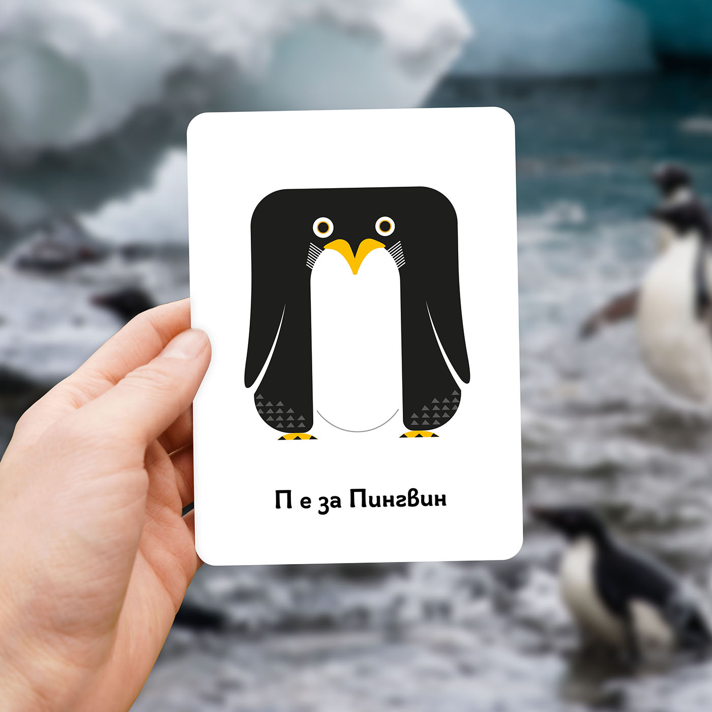 Зообука Образователни Карти