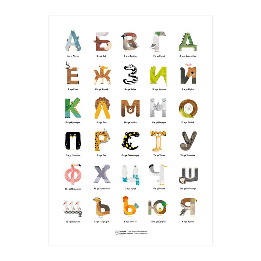 Плакат Зообука 30х40