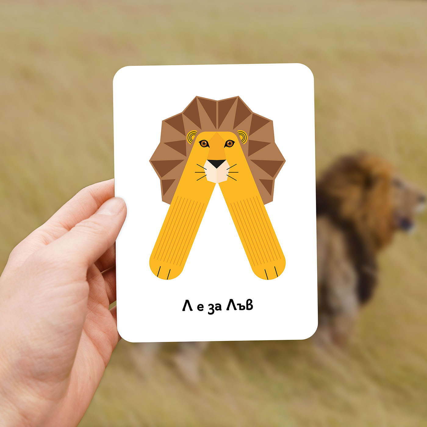 Зообука Образователни Карти